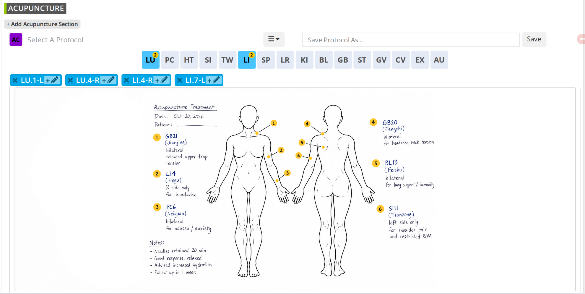 Acupuncture charting section